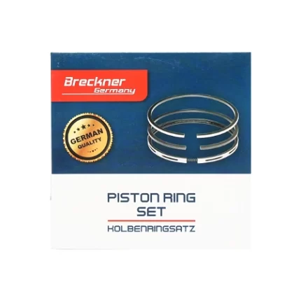 Segmenti piston fi 100mm 2.5x2.5x5.5mm pentru Fiat Iveco 1909172 Cod: BK17144 Echivalență: DISPB48