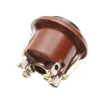 Buton starter/pornire, 24V, 10A, 2 pini - imagine 2