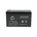 Baterie (acumulator) pentru pompa de stropit vermorel 12L Breckner Germany