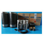 Set motor U650 PAPS AGM MARACINENI